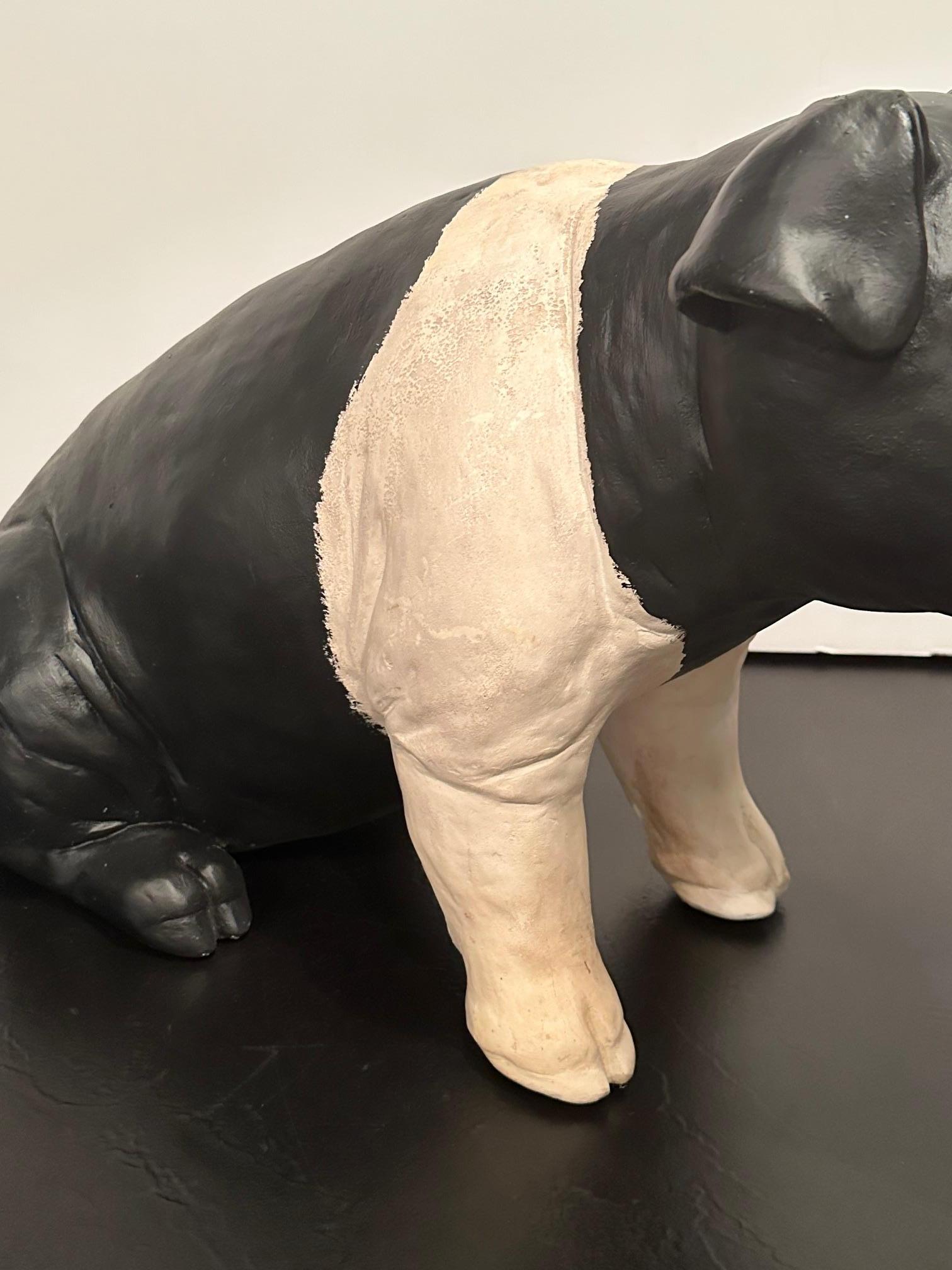 Adorable Plaster Black & White Pig Sculpture from Butcher Shop For Sale 2