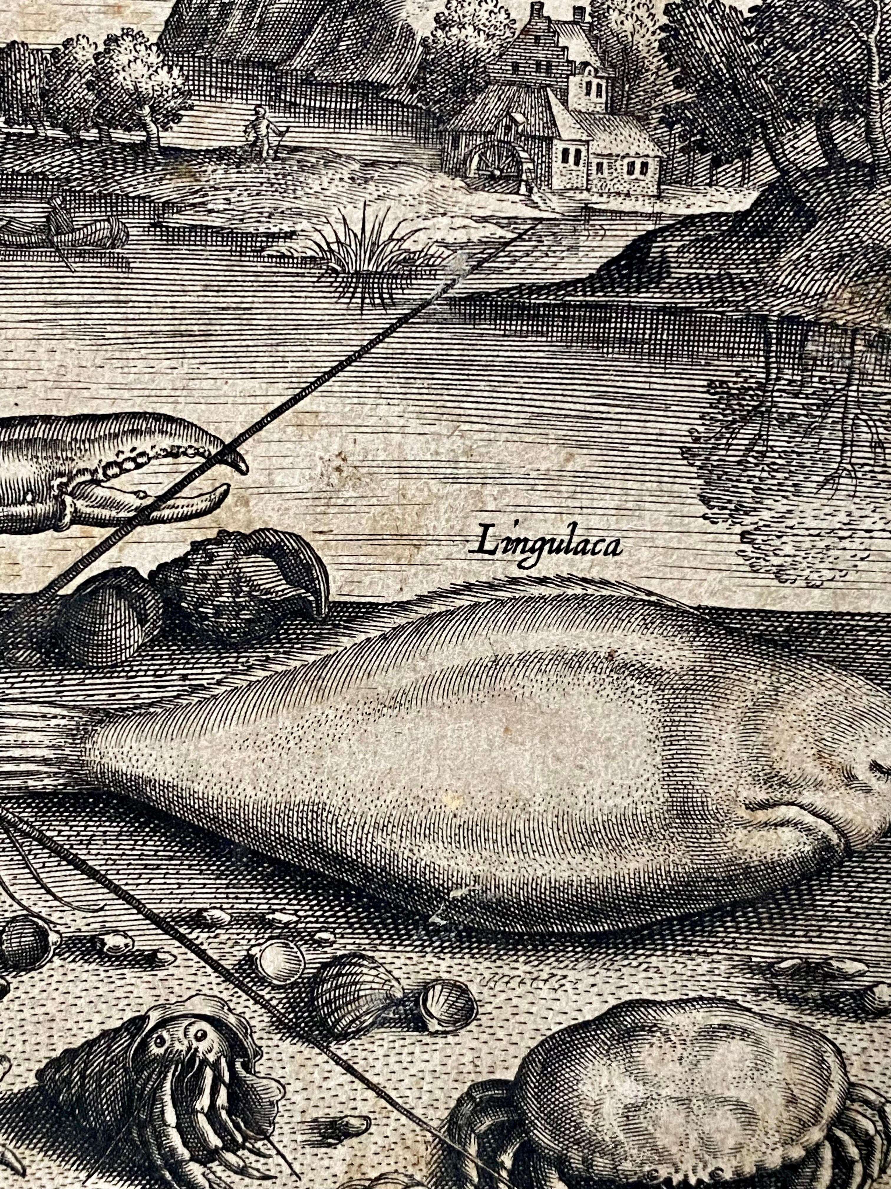 17th century flemish engraving of fishes in front of a landscape - Fish Animal - Old Masters Print by Adriaen Collaert