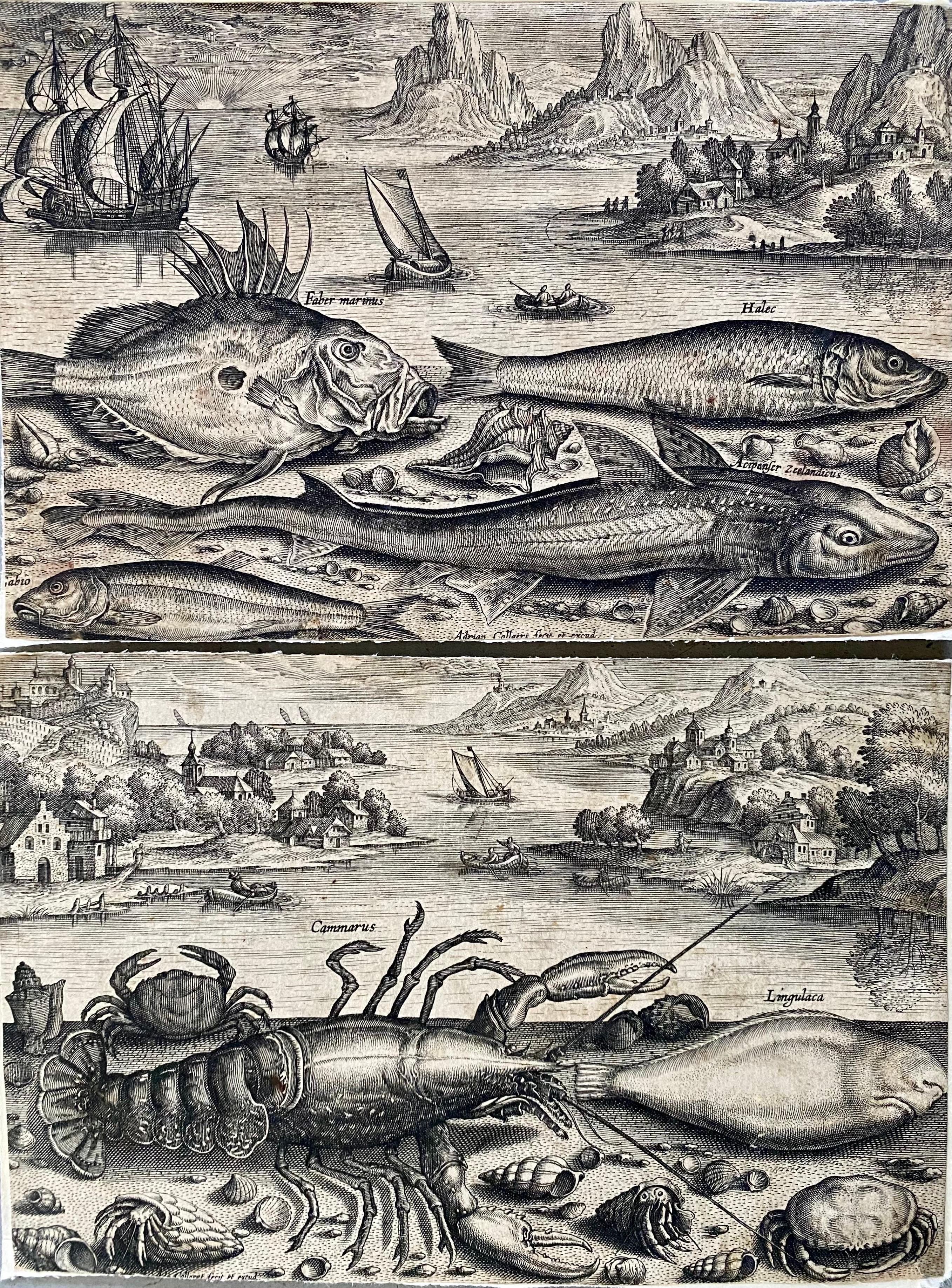 Adriaen Collaert Landscape Print - 17th century flemish engraving of fishes in front of a landscape - Fish Animal