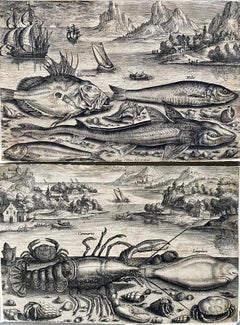 17th century flemish engraving of fishes in front of a landscape - Fish Animal