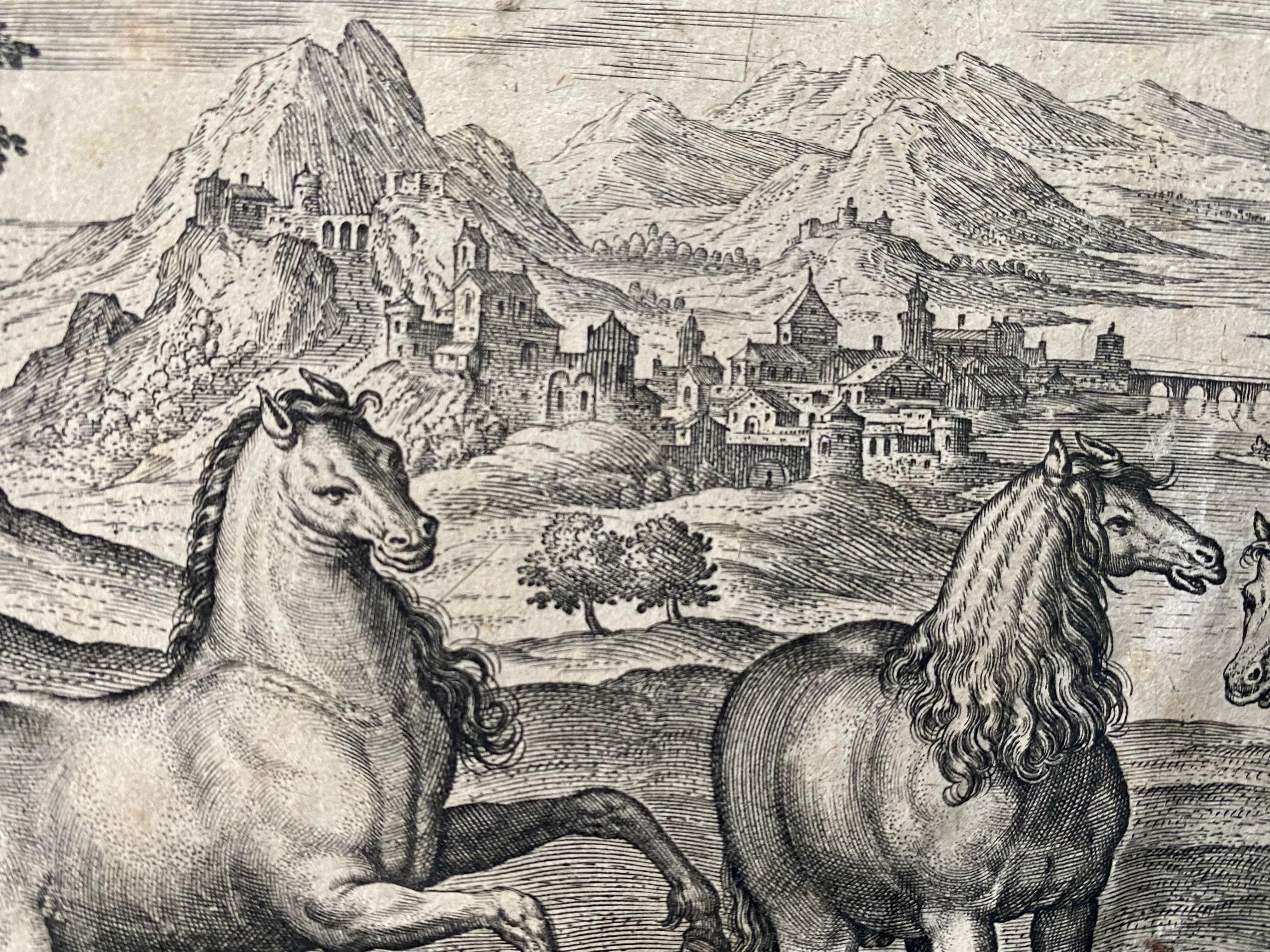 17th century flemish engraving of horses in front of a landscape - Horse Animal - Print by Adriaen Collaert