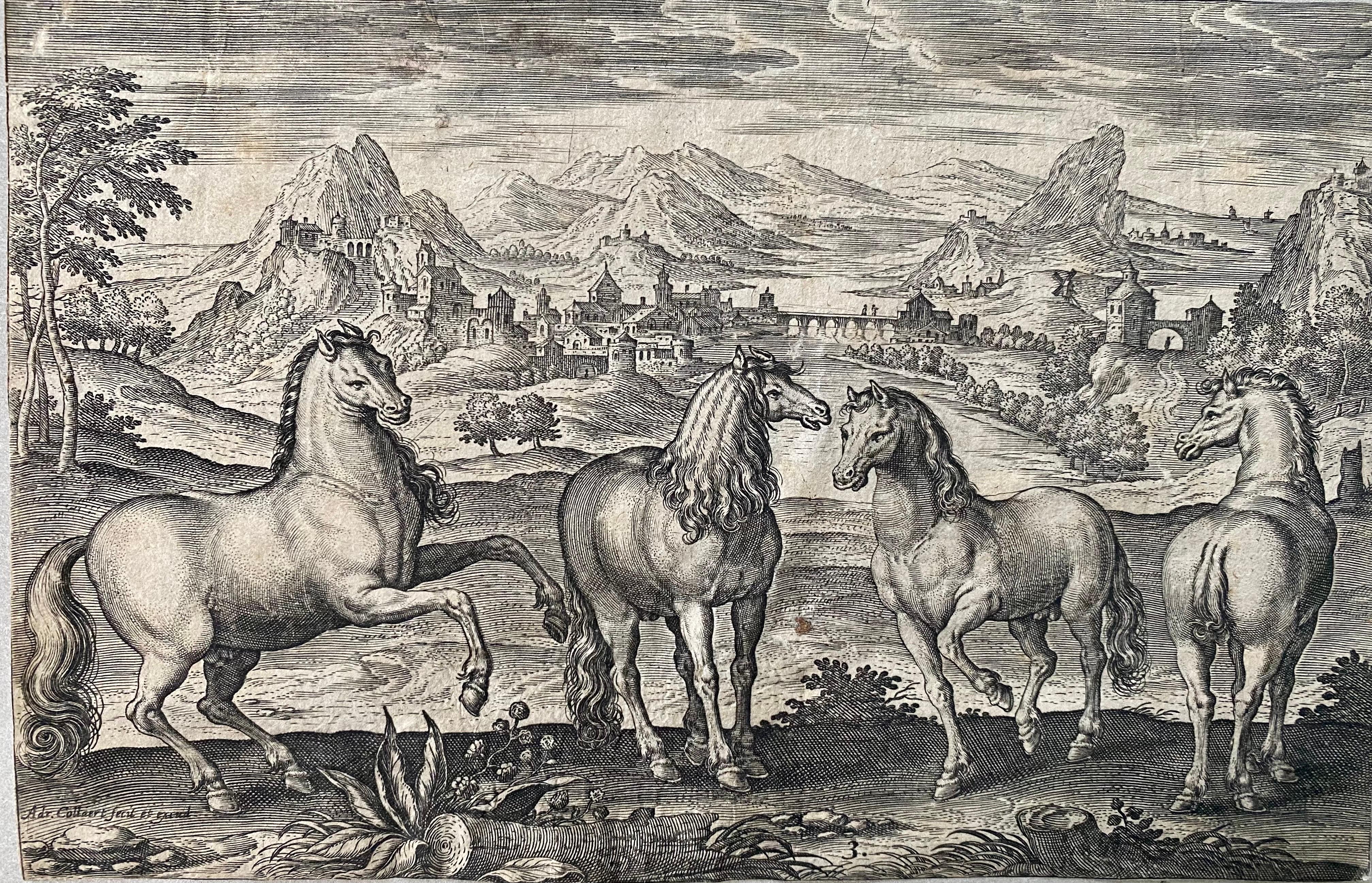 Adriaen Collaert Landscape Print - 17th century flemish engraving of horses in front of a landscape - Horse Animal