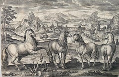 17th century flemish engraving of horses in front of a landscape - Horse Animal