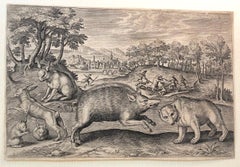 Un jabalí y un oso, de Animalium Quadrupedum