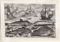 "Piscum Vivae Icones, " Antique Engraving of Fish, Seascape