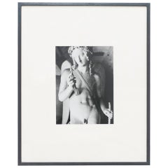 Adrian Contemporary Photography, 2012