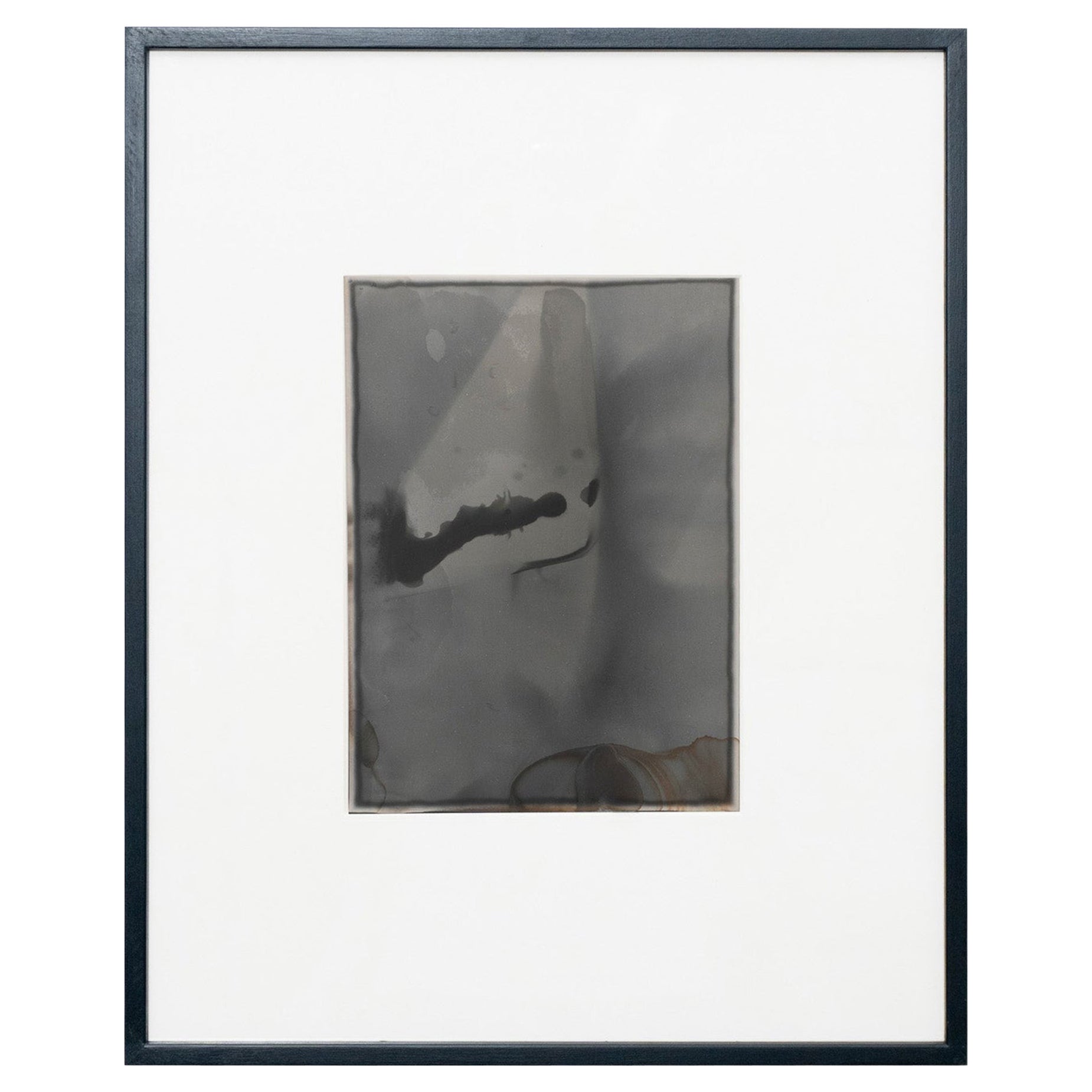 Photographie contemporaine d'Adrian, 2013