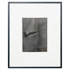 Photographie contemporaine d'Adrian, 2013