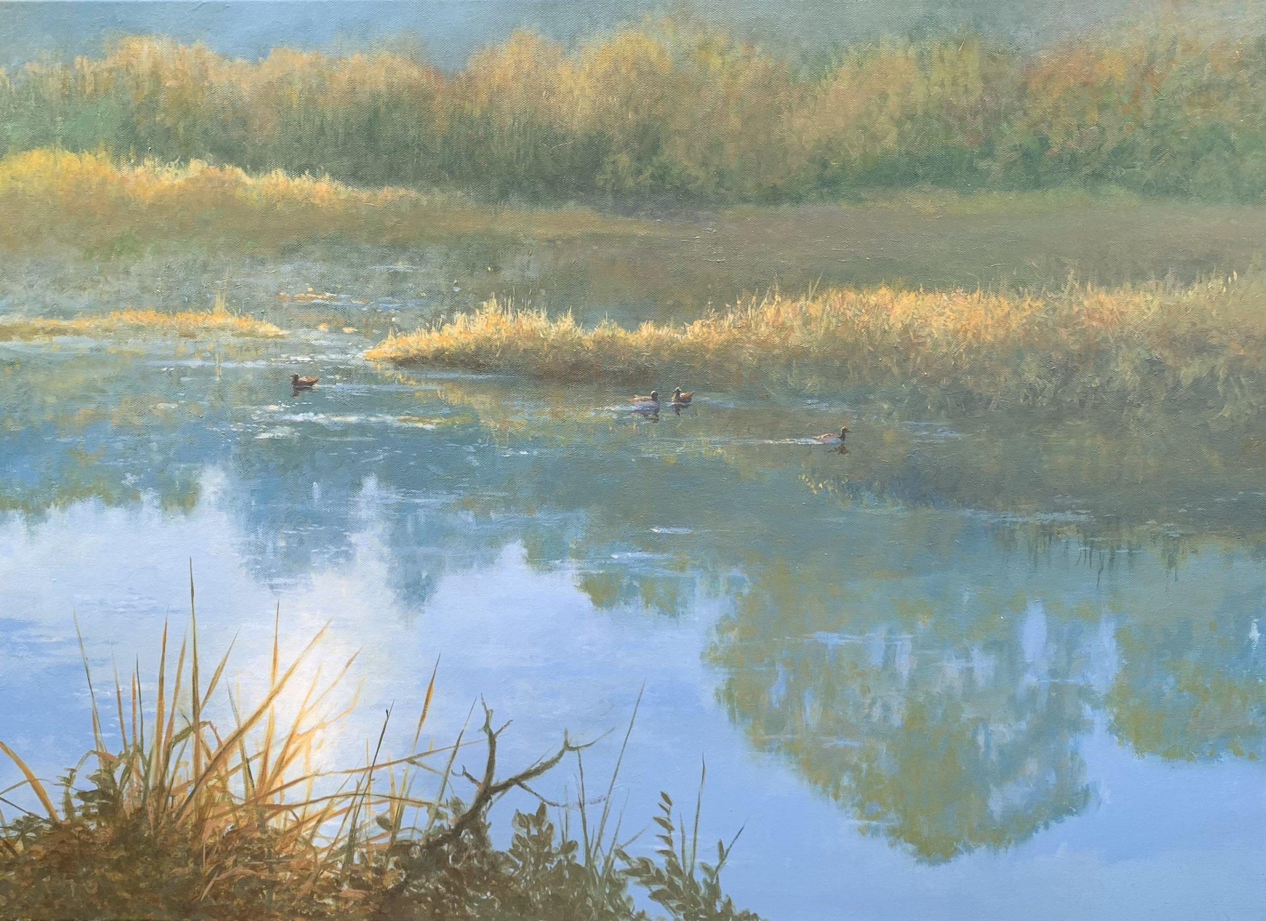 This piece, "Evening Waters" is a 23x33" oil painting on canvas by artist Adrian Rigby. Featured is a solitary pond with reflection's of a late afternoon sun beaming off of the surface. Tangles of grass and vine surround the quiet ecosystem as a