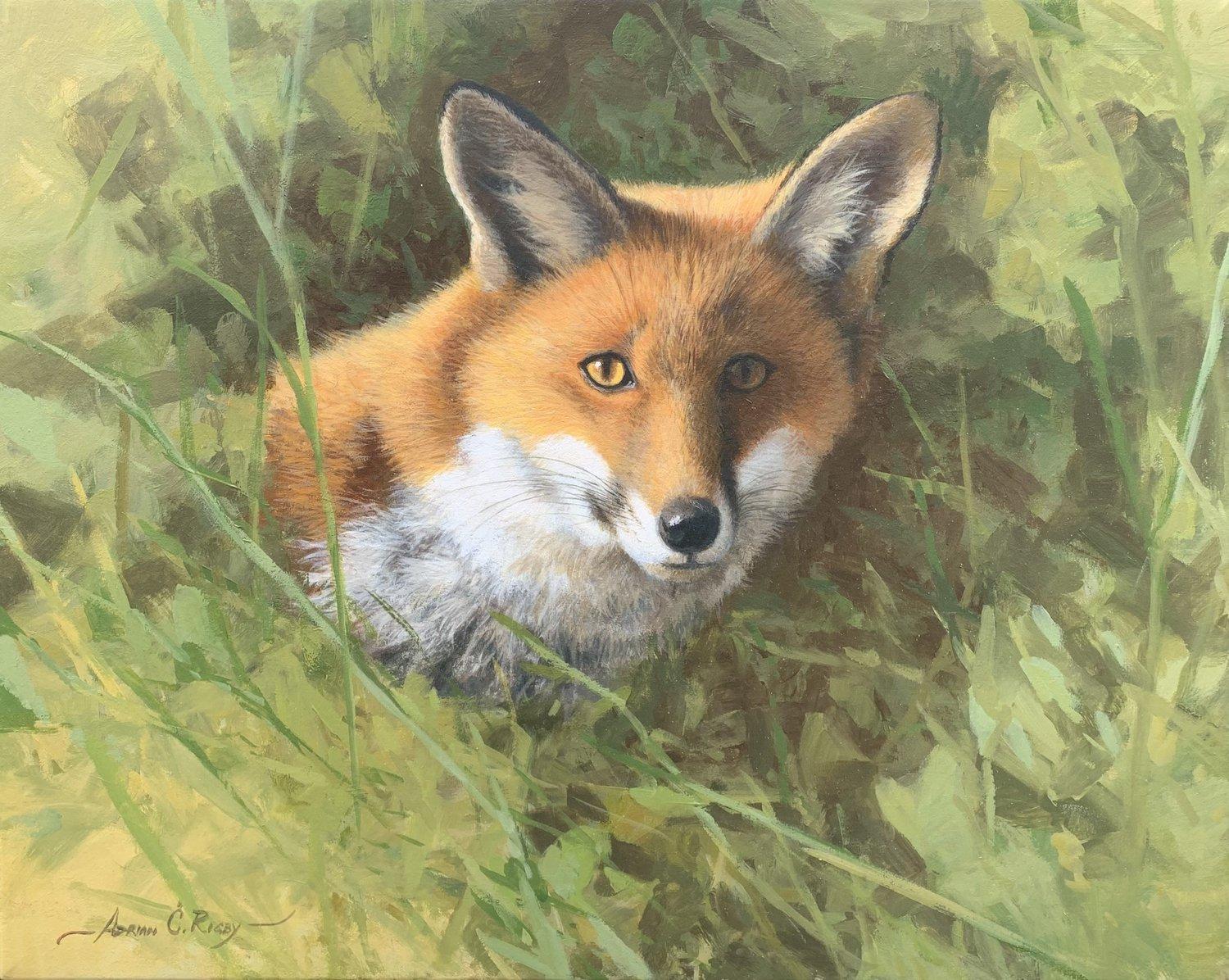 Adrian Rigby, „Fox Portrait“, 16x20, Rotes Fuchs-Landschaft, Ölgemälde auf Leinwand