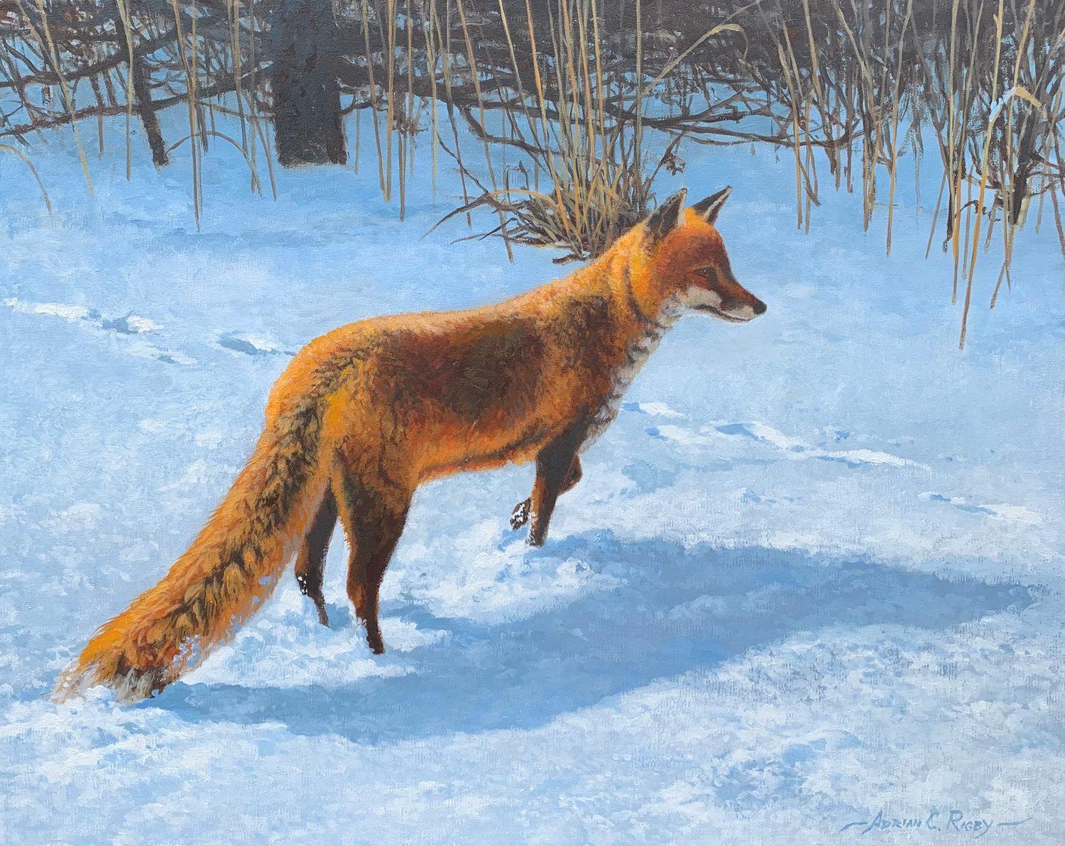 Adrian Rigby, „Hard Times“, „Hard Times“, 16x20, Rotes Winter Fuchs-Landschaft, Ölgemälde auf Leinwand