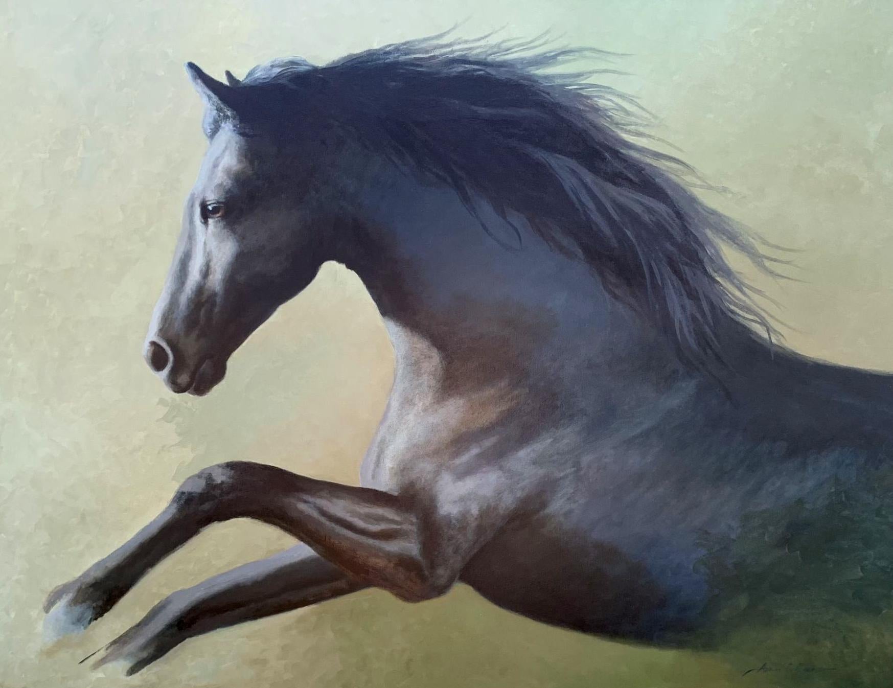 Questo pezzo, "Majestic", è un dipinto a olio su tela 36x48 dell'artista Adrian Rigby.  Il dipinto raffigura un drammatico cavallo nero al galoppo su uno sfondo verde intenso.  L'artista ha dipinto il cavallo in corsa, con la criniera mossa dal