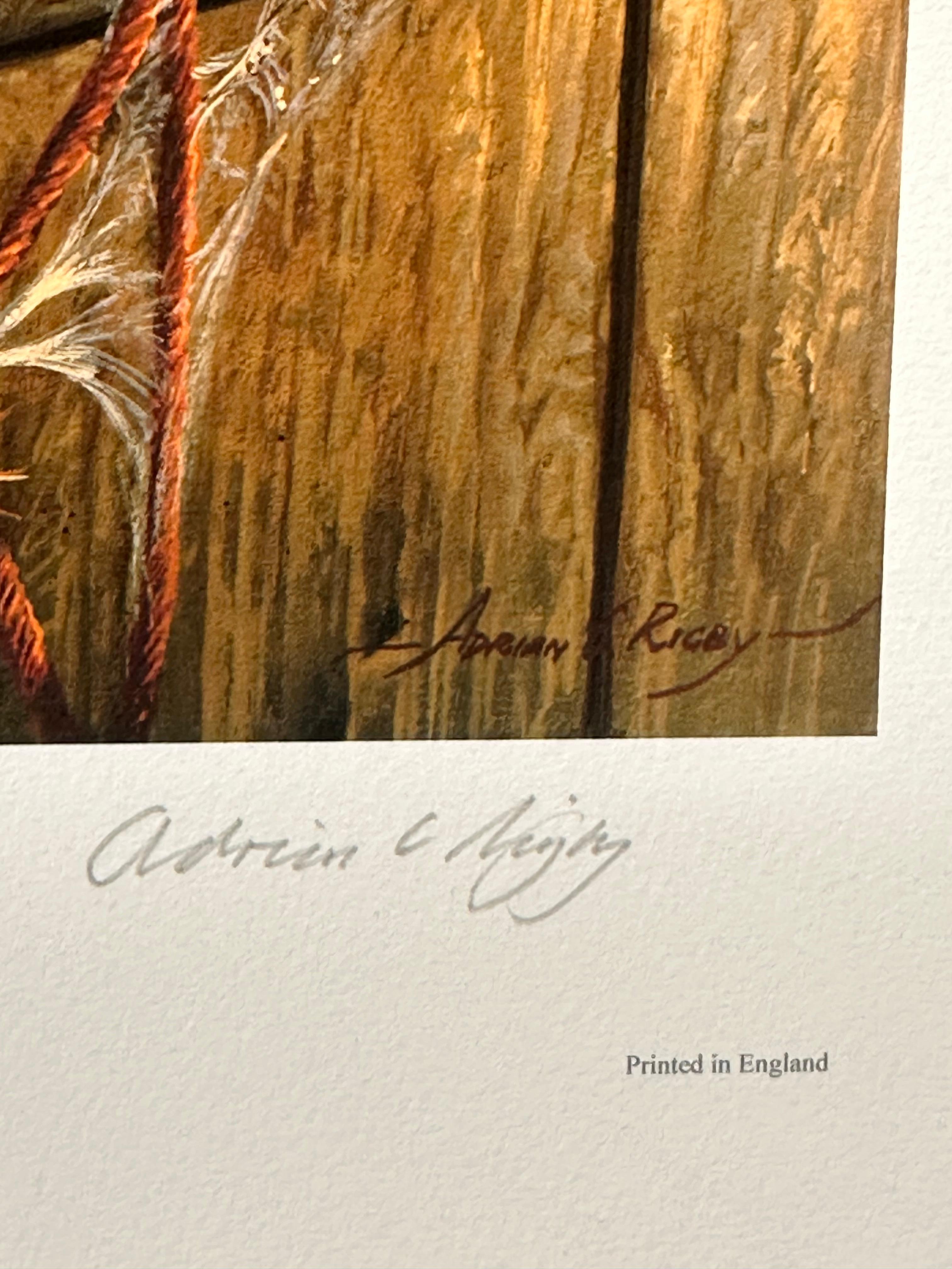 Chouette Effraie des clochers Belle qualité Artiste de la faune et de la flore britanniques Tirage à édition limitée signé en vente 5