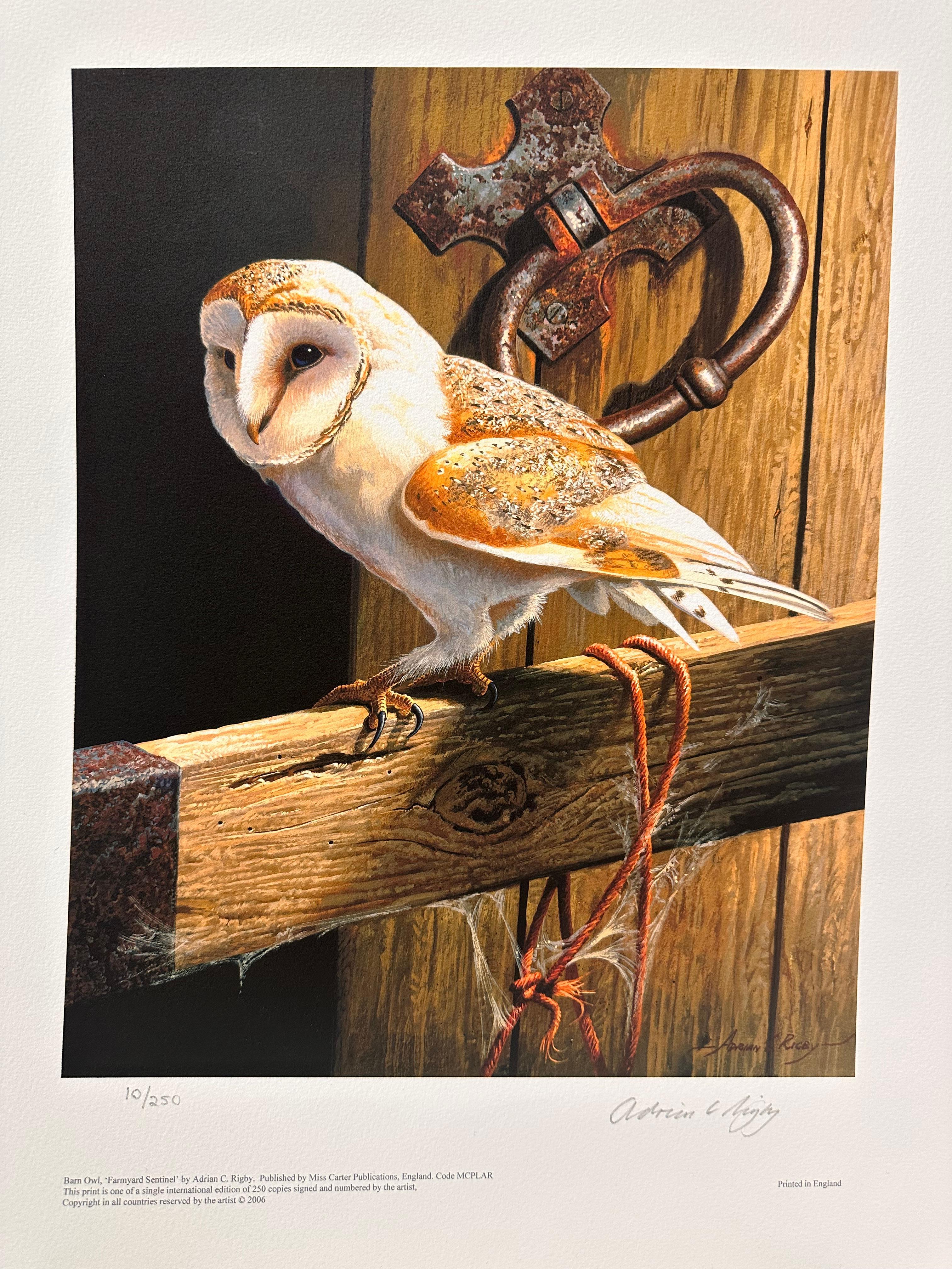 Chouette Effraie des clochers Belle qualité Artiste de la faune et de la flore britanniques Tirage à édition limitée signé - Print de Adrian Rigby