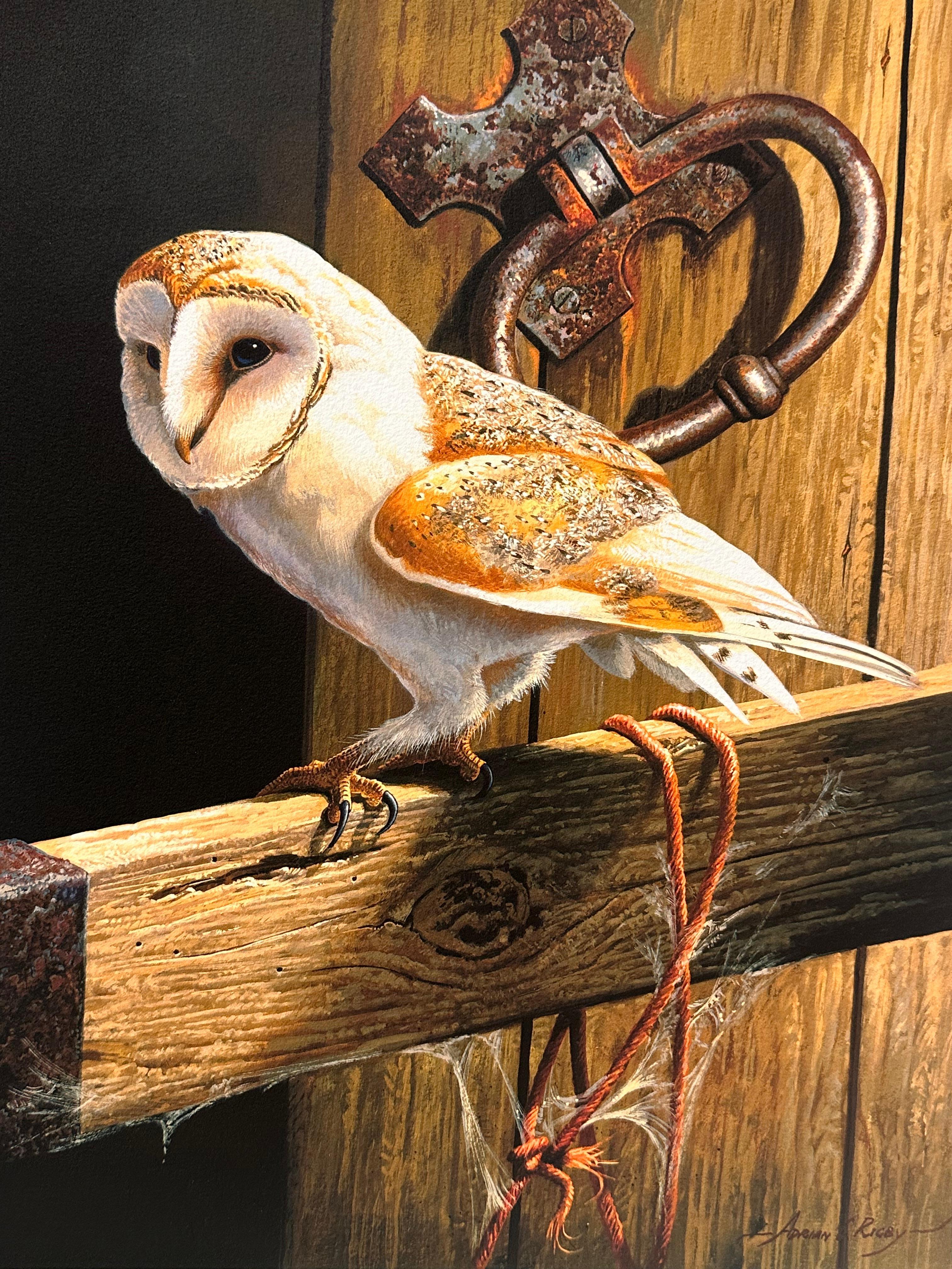 Barbagianni Bellissima stampa firmata di qualità dell'artista britannico della fauna selvatica in edizione limitata