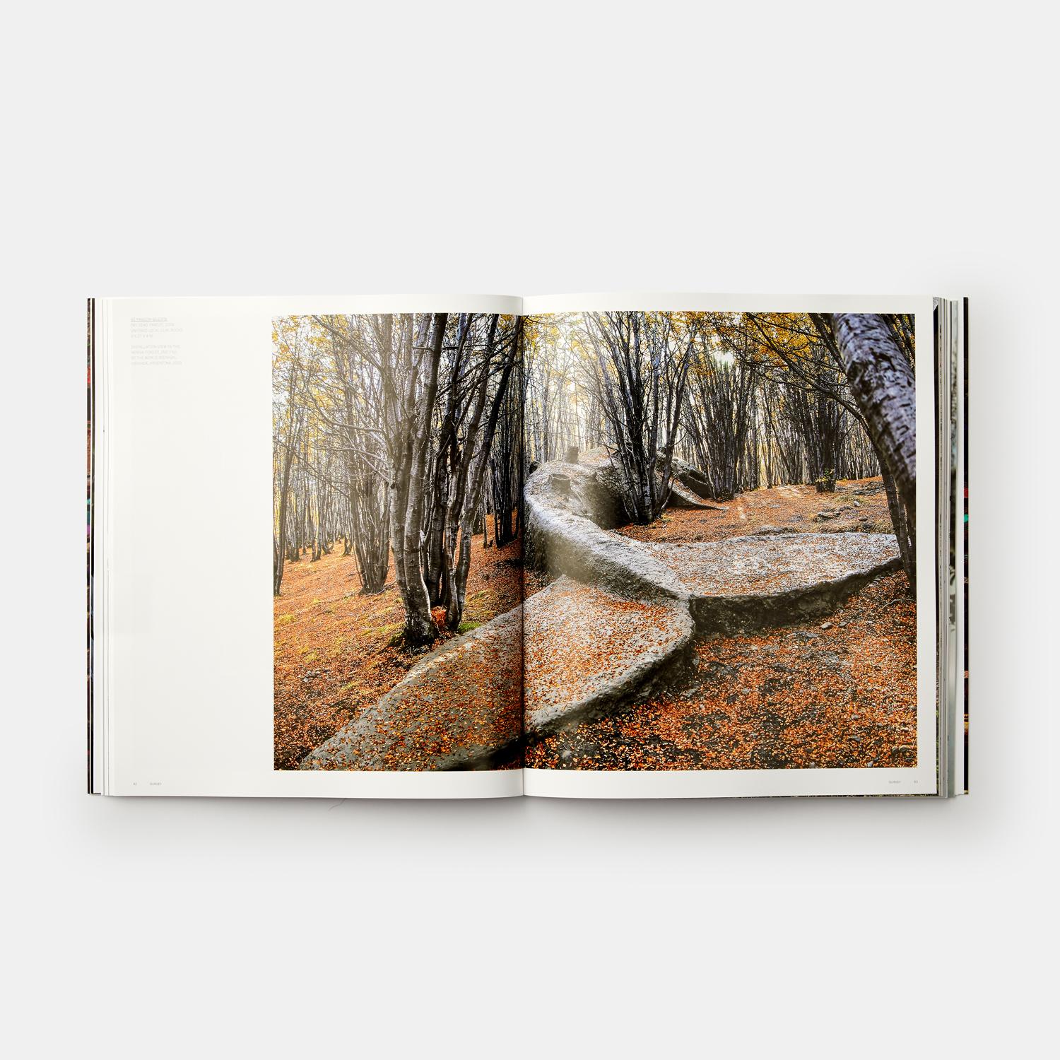 Paper Adrian Villar Rojas 'Phaidon Contemporary Artists Series' For Sale