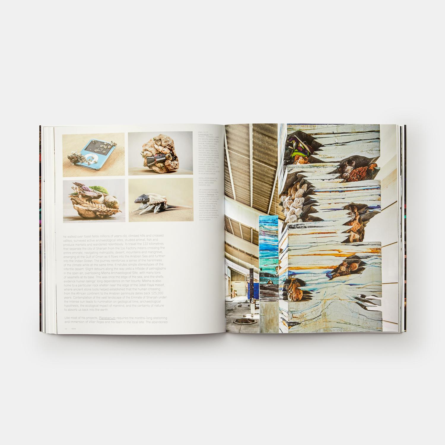 Adrian Villar Rojas 'Phaidon Contemporary Artists Series' For Sale 1