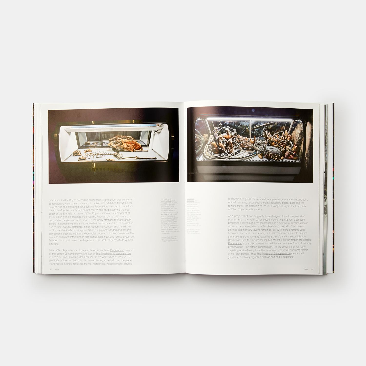 Adrian Villar Rojas 'Phaidon Contemporary Artists Series' For Sale 2