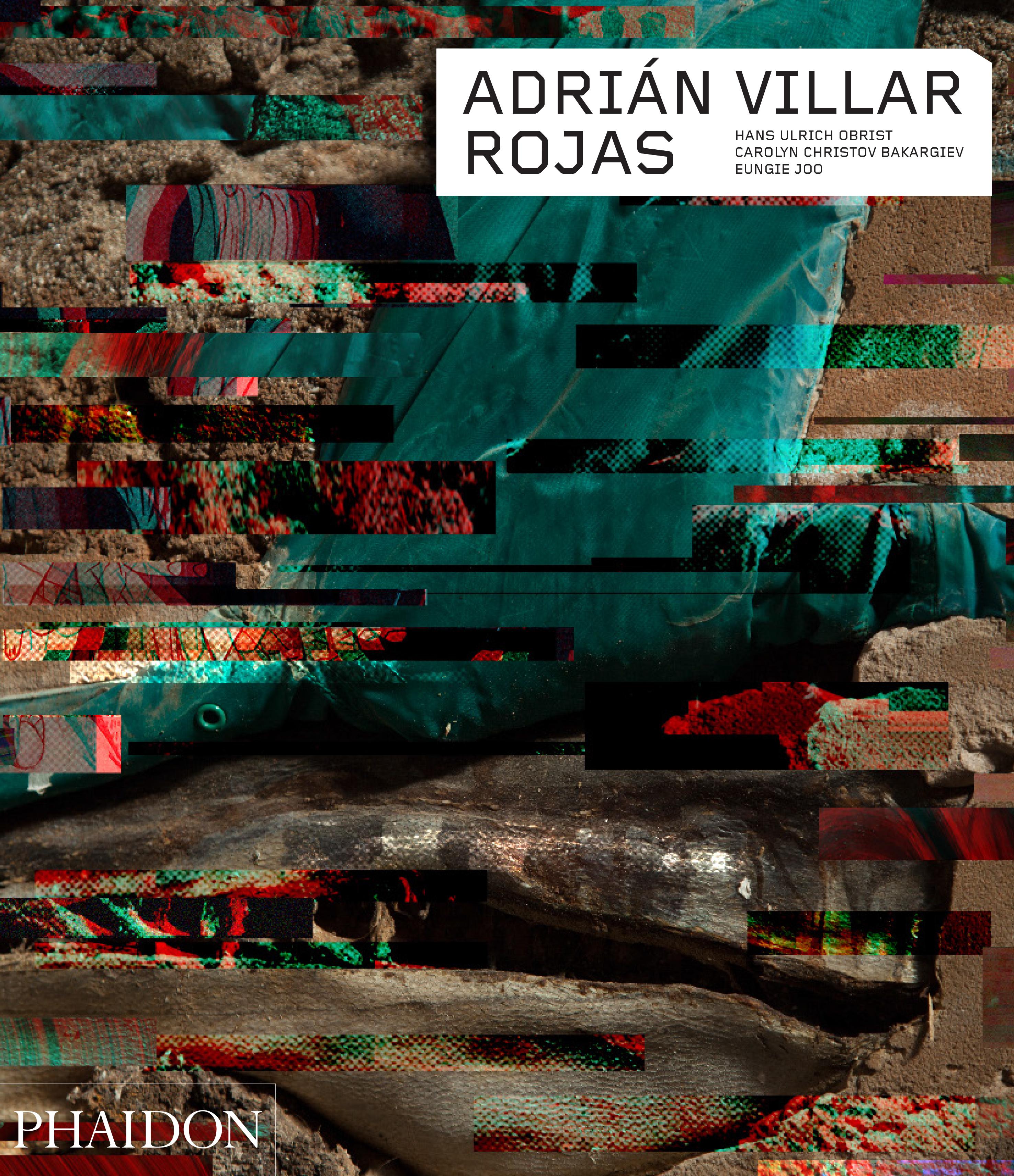Adrian Villar Rojas 'Phaidon Contemporary Artists Series' For Sale 5