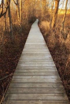 "The Path", Cape Elizabeth, Maine