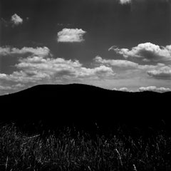 "Black and White", Middleburg, Virginia. Black and white landscape photography