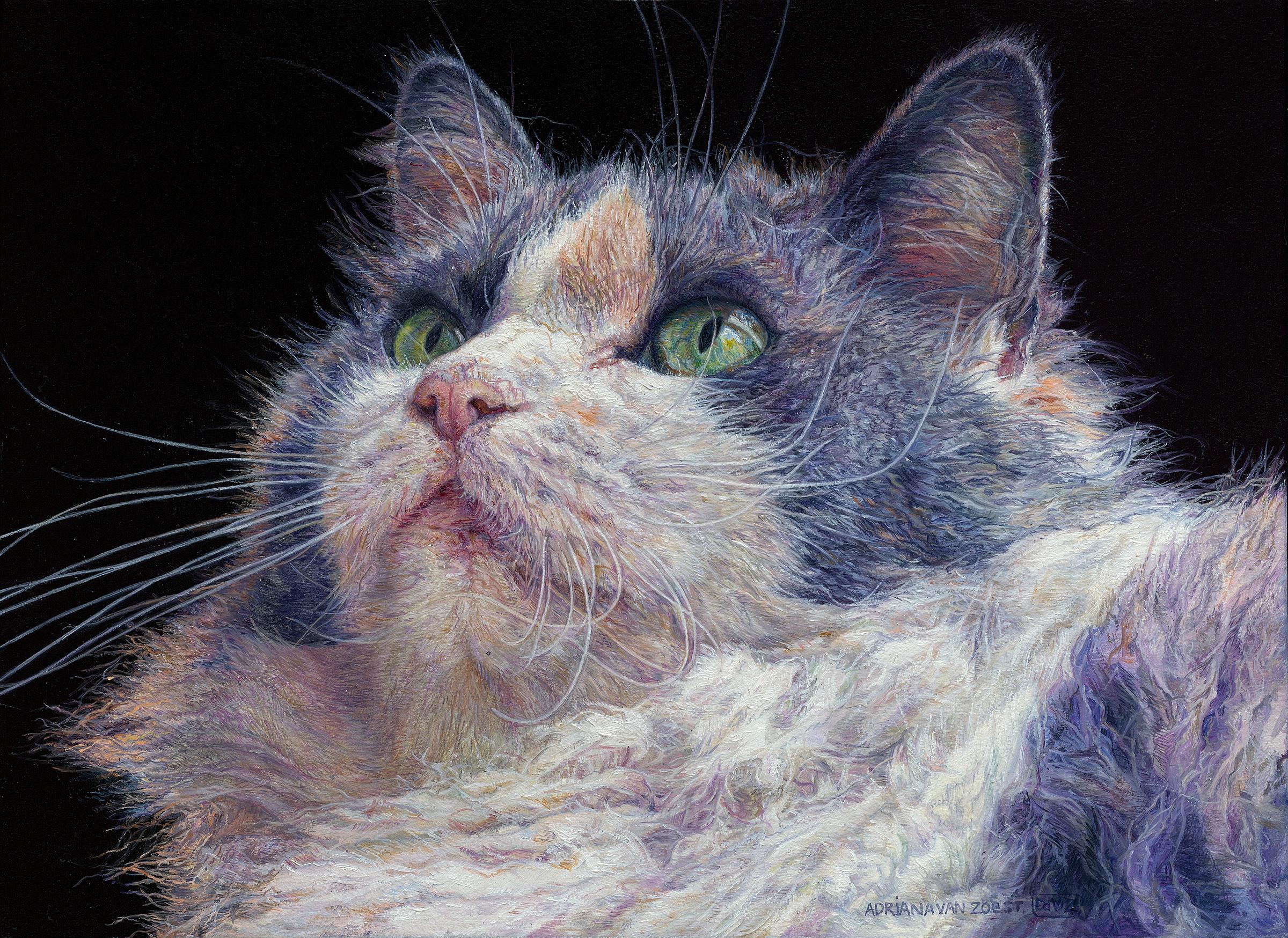 Adriana van Zoest Animal Painting - Belle II- 21st Century Contemporary Dutch Portraitpainting of a cat