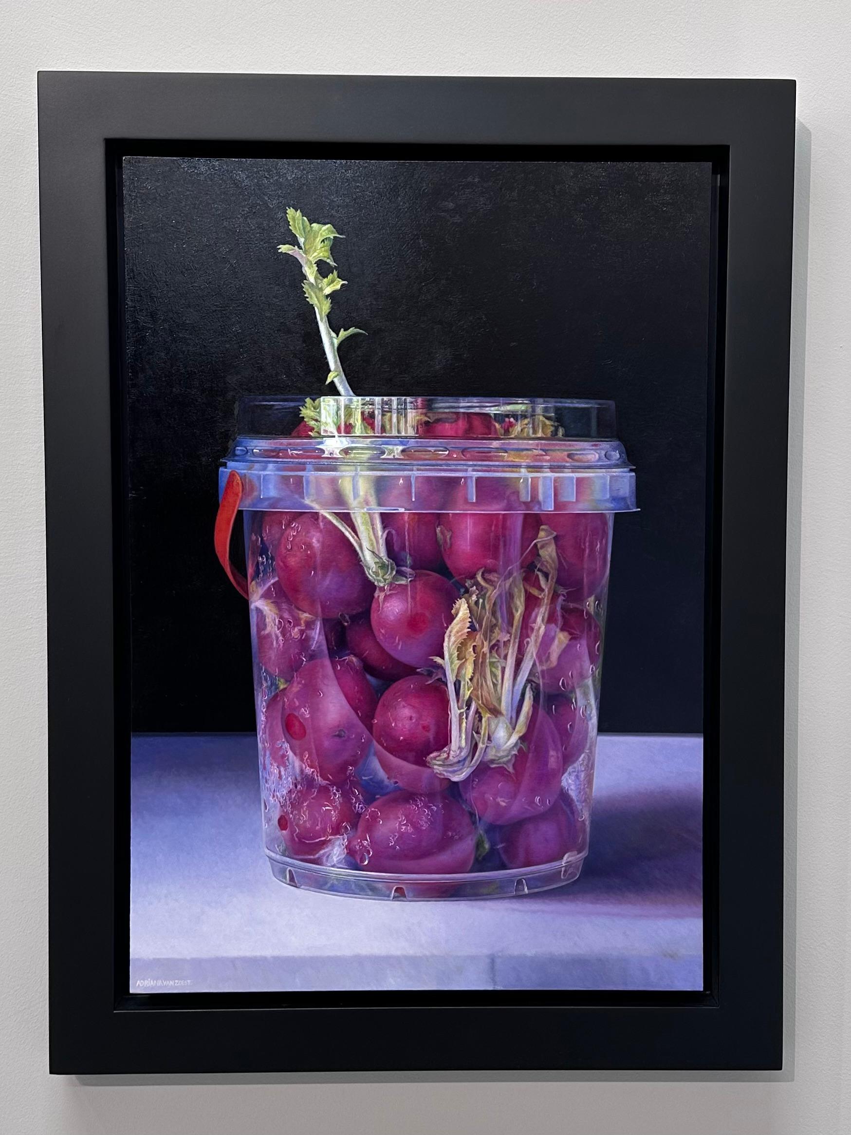 Overdue- 21st Century  Contemporary Painting of radish in plastic bucket For Sale 1