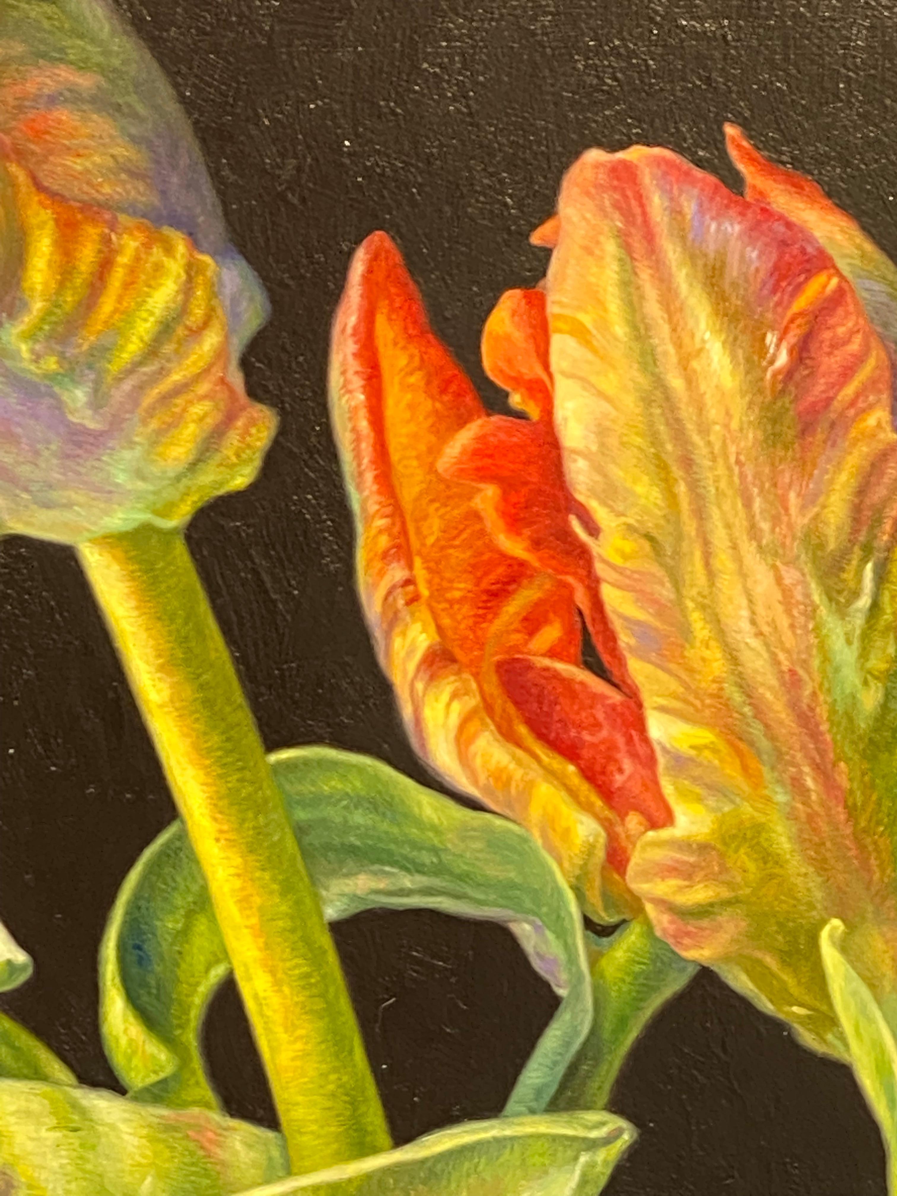 Red Parrot Tulips- 21st Century Contemporary Dutch Still-life of Flowers 6