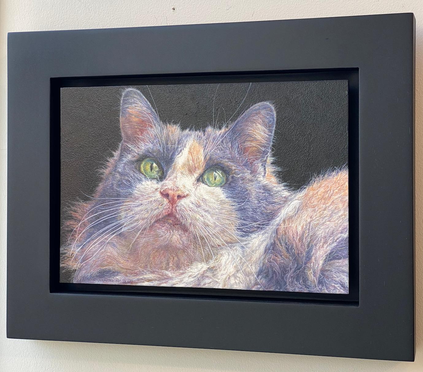 Belle peinture hollandaise contemporaine de portrait d'un chat, XXIe siècle - Painting de Adriana van Zoest