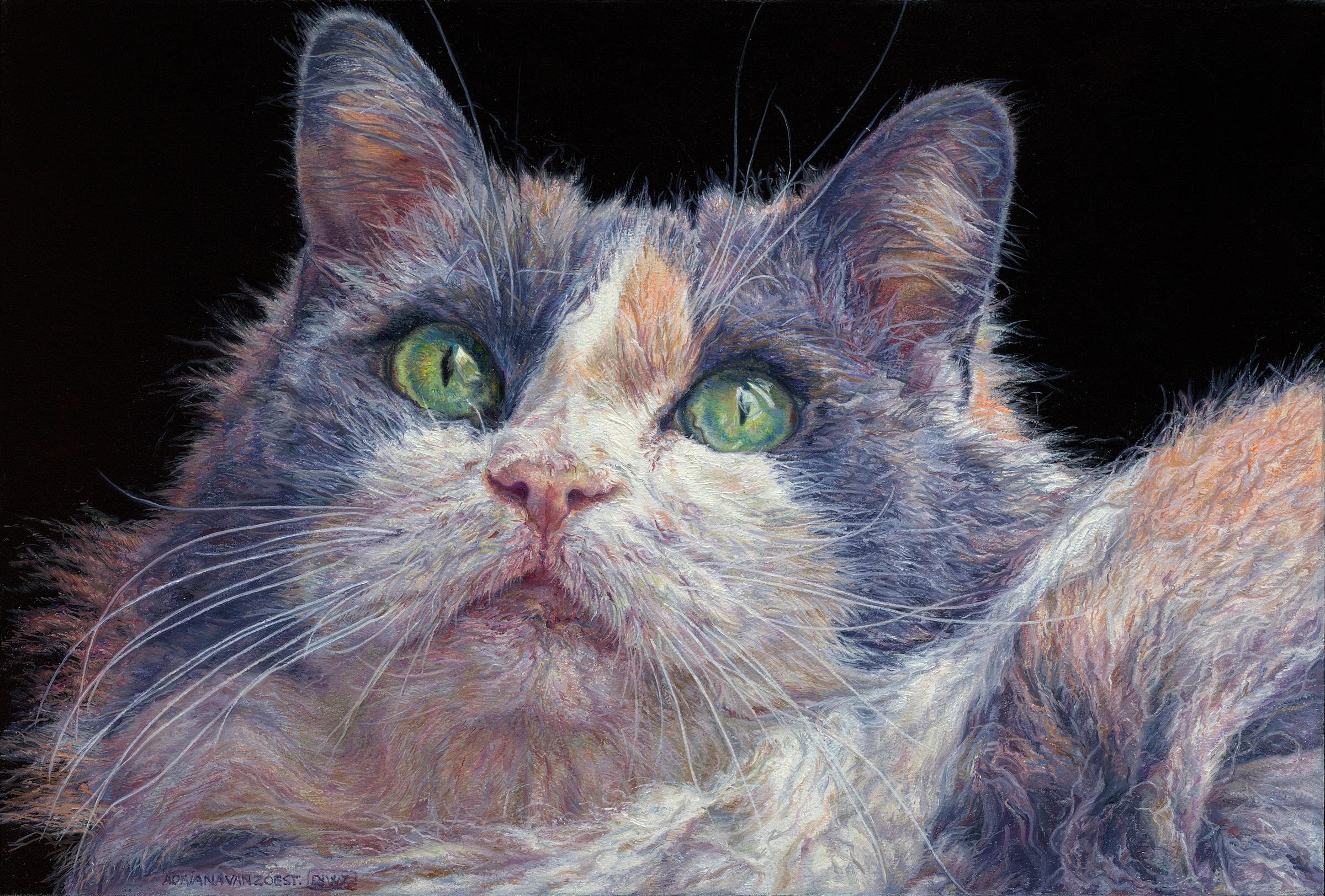 Figurative Painting Adriana van Zoest - Belle peinture hollandaise contemporaine de portrait d'un chat, XXIe siècle