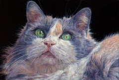 Belle peinture hollandaise contemporaine de portrait d'un chat, XXIe siècle