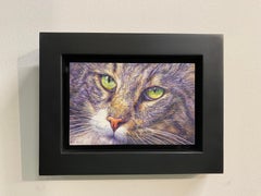 The Neighbourhood Cat- 21st Century Contemporary Animal Portrait painting