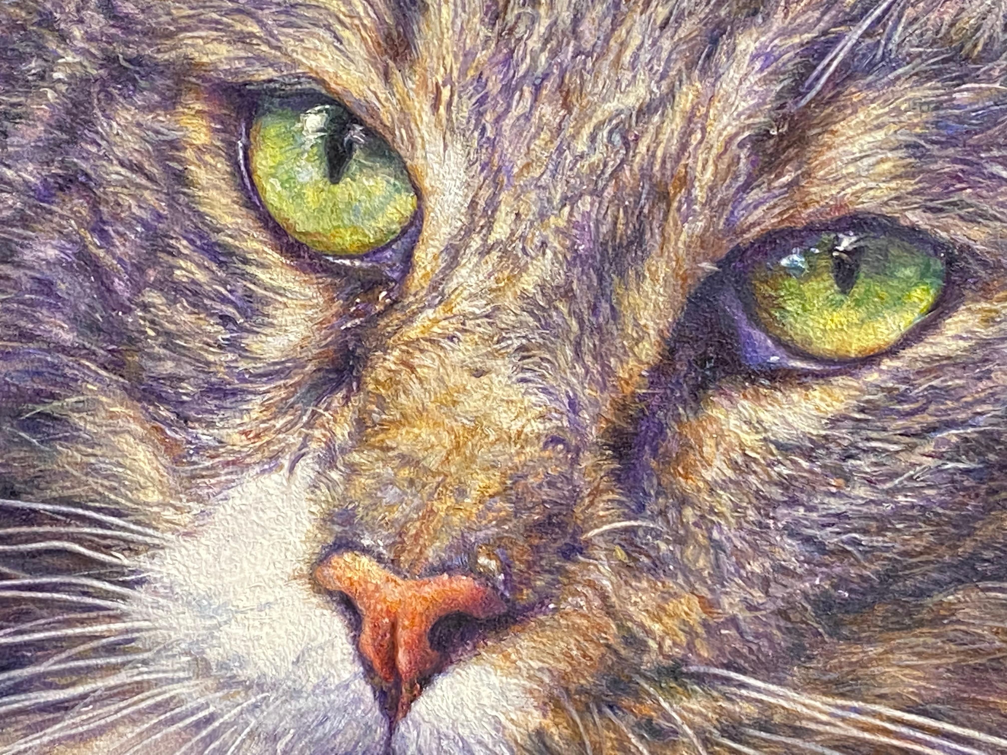 El gato del barrio - Retrato de animal contemporáneo del siglo XXI - Painting Contemporáneo de Adriana van Zoest
