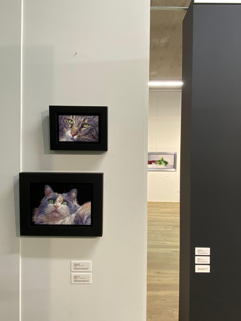 Adriana van Zoest The Neighbourhood Cat 21st Century Contemporary