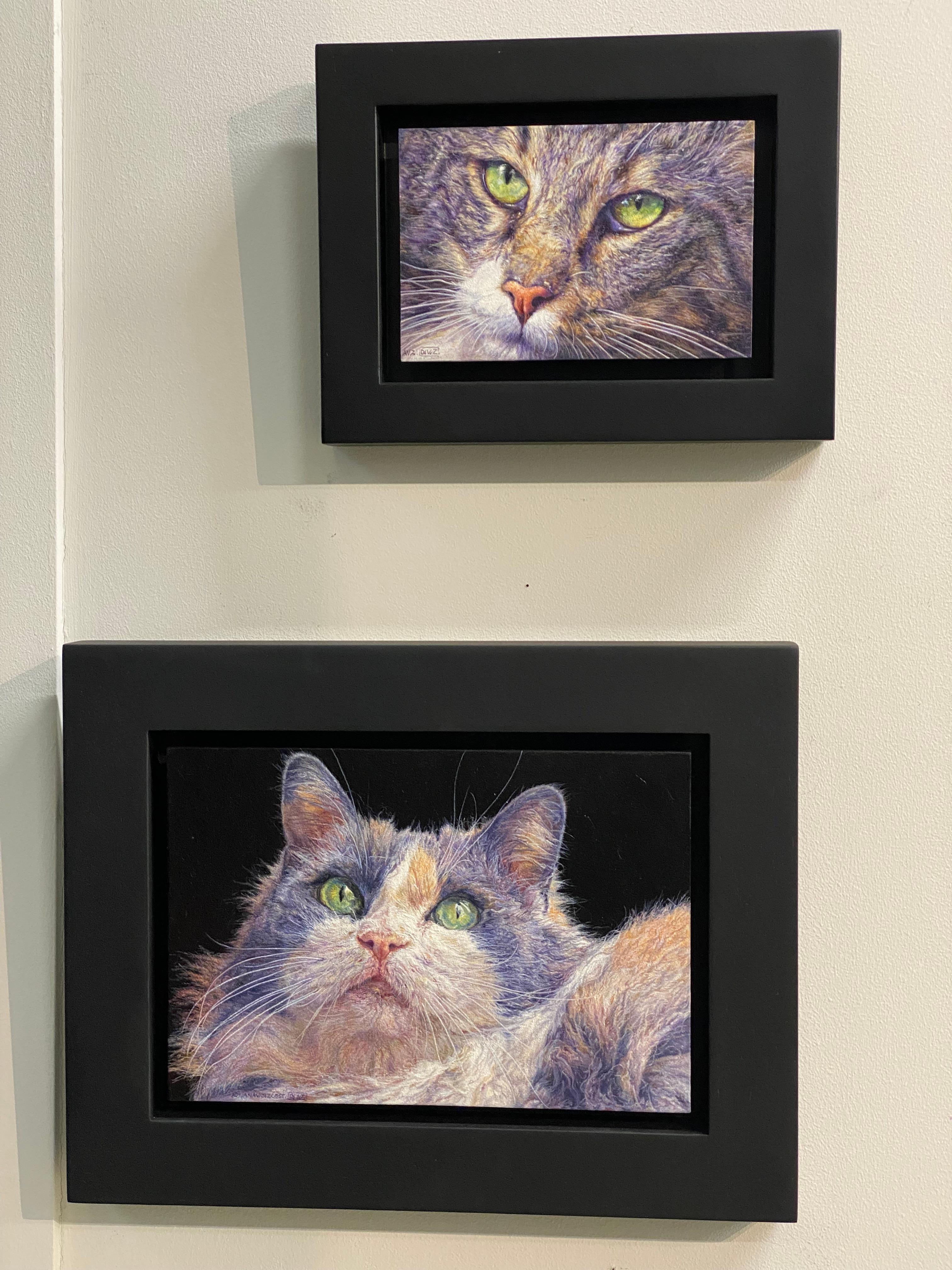 The Neighbourhood Cat- 21st Century Contemporary Animal Portrait painting  - Gray Animal Painting by Adriana van Zoest