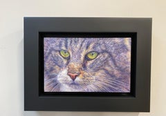 The Neighbourhood Cat II- 21st Century Contemporary  Animal Portraitpainting