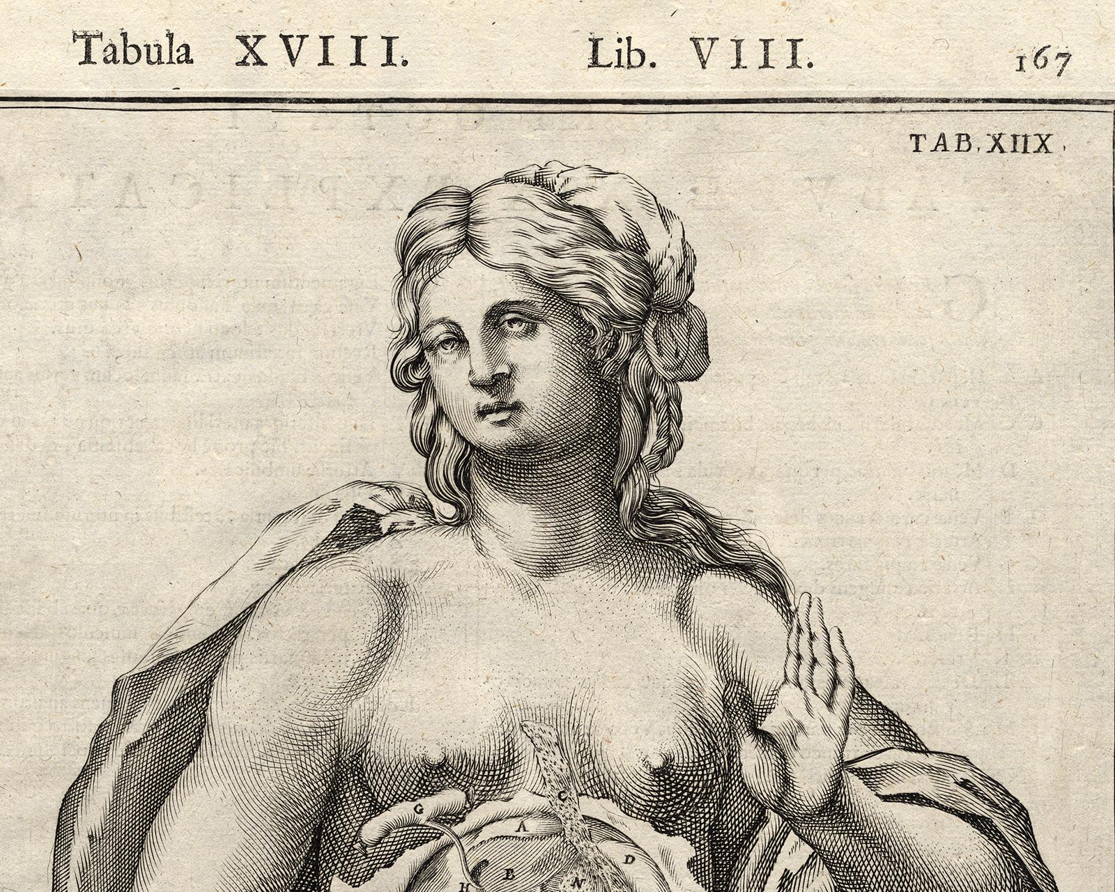 2 anatomical prints - Woman's abdomen by Spigelius - Engraving - 17th century - Print by Adrianus Spigelius