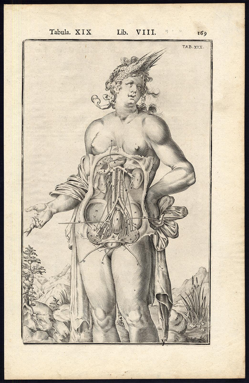 2 anatomical prints - Woman's abdomen by Spigelius - Engraving - 17th century - Beige Print by Adrianus Spigelius