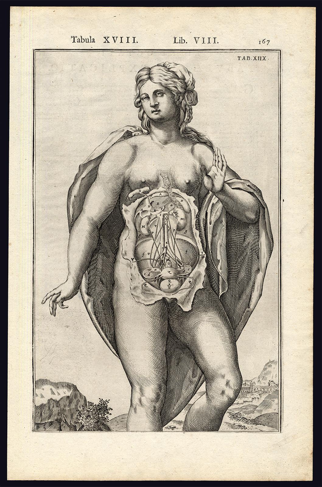 Adrianus Spigelius Print - 2 anatomical prints - Woman's abdomen by Spigelius - Engraving - 17th century