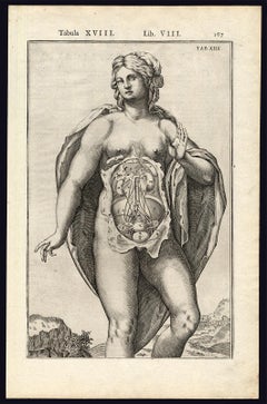Used 2 anatomical prints - Woman's abdomen by Spigelius - Engraving - 17th century
