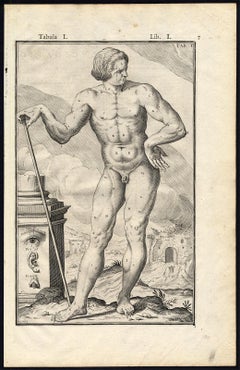 Antique 2 Anatomical prints - Man front and rear - by Spigelius - Engraving - 17th c
