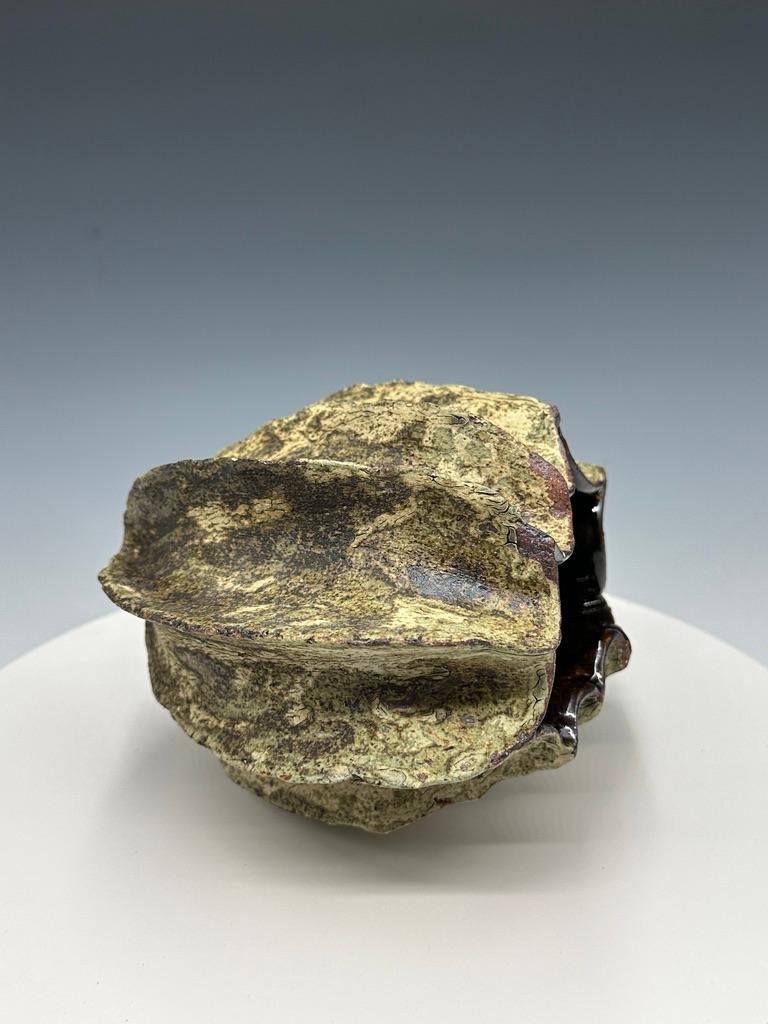 Grüner Seapod Keramik Gefäß Skulptur (Grau), Still-Life Sculpture, von Adrienne Fierman