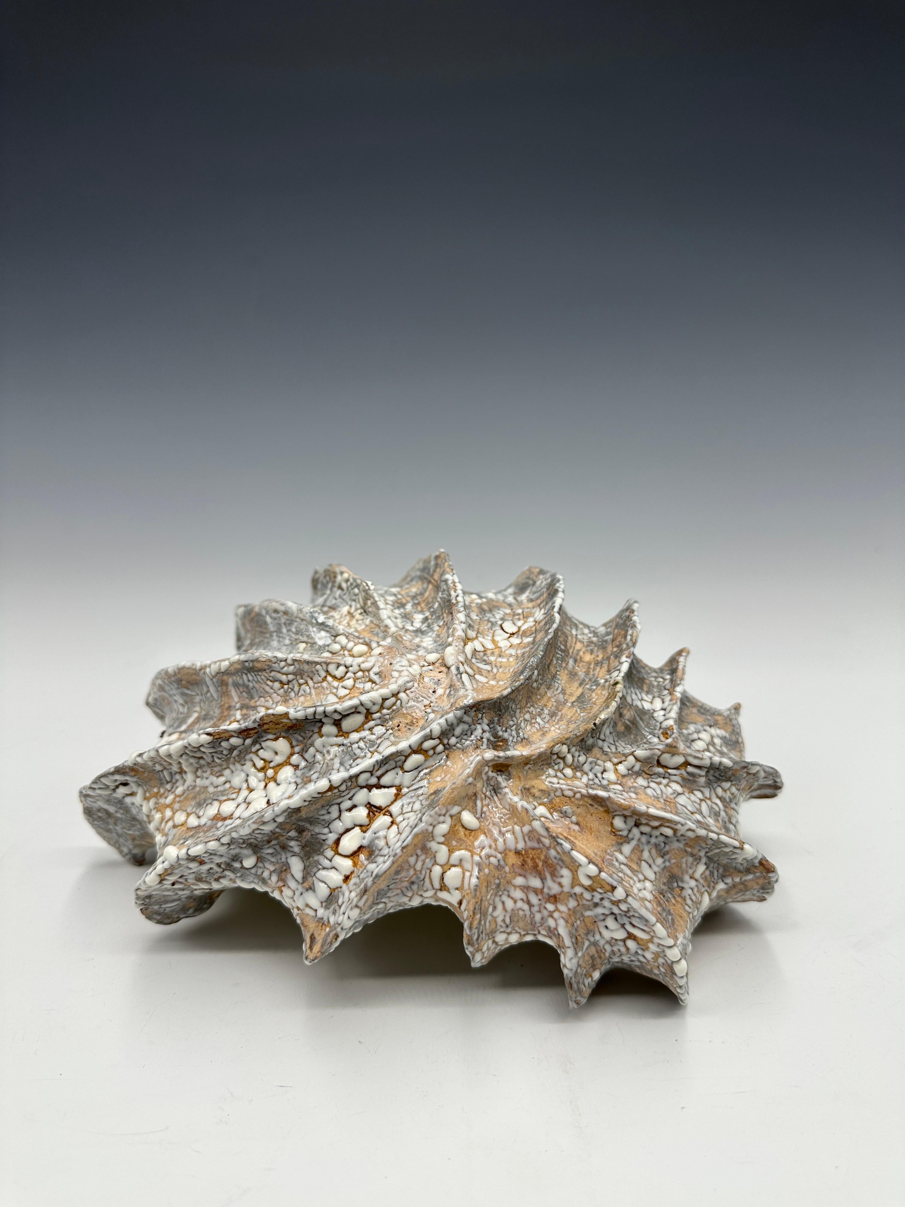 Pearl Seapod Ceramic Bowl Sculpture For Sale 2