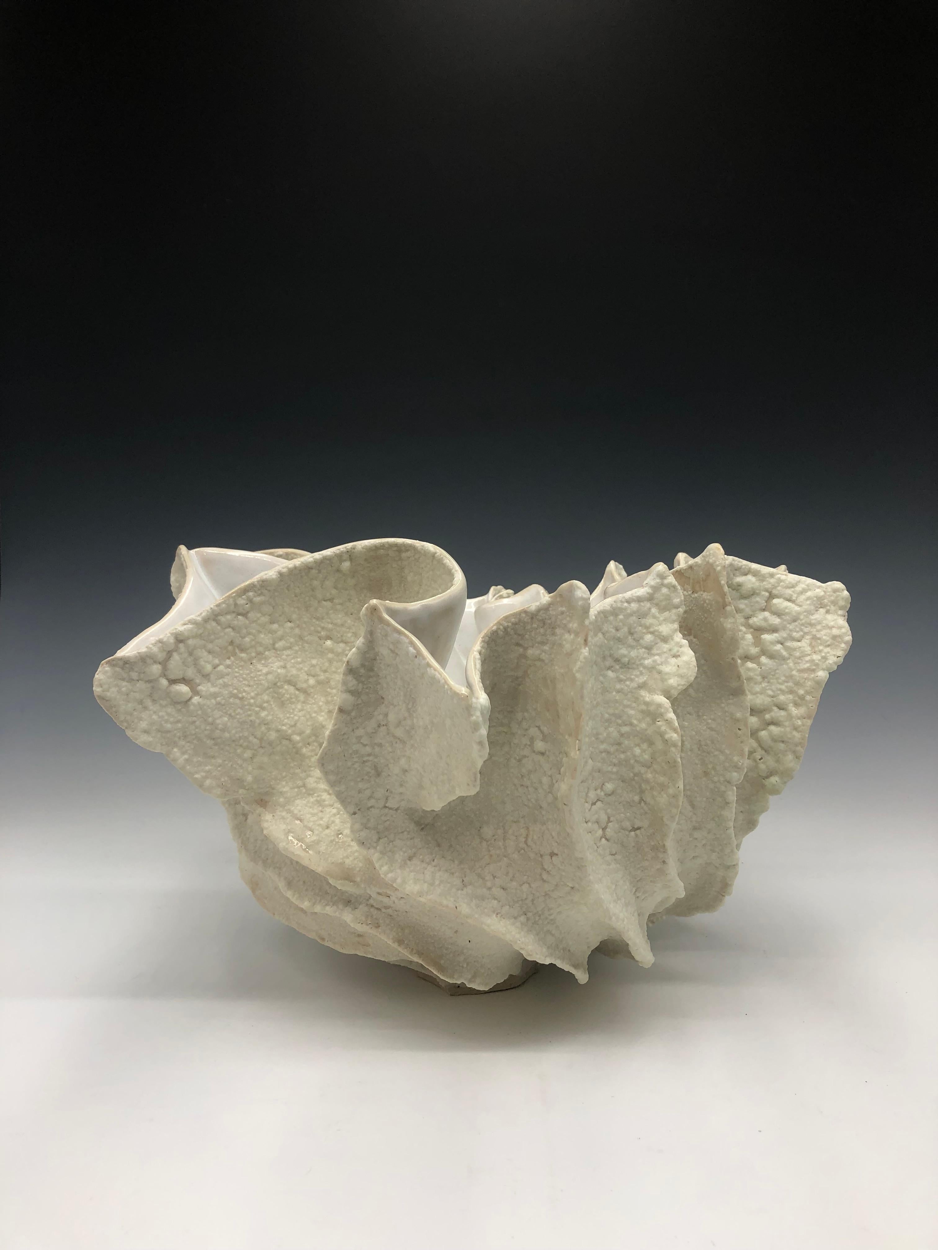 White Contemporary Ceramic Organic Clam Bowl Sculpture