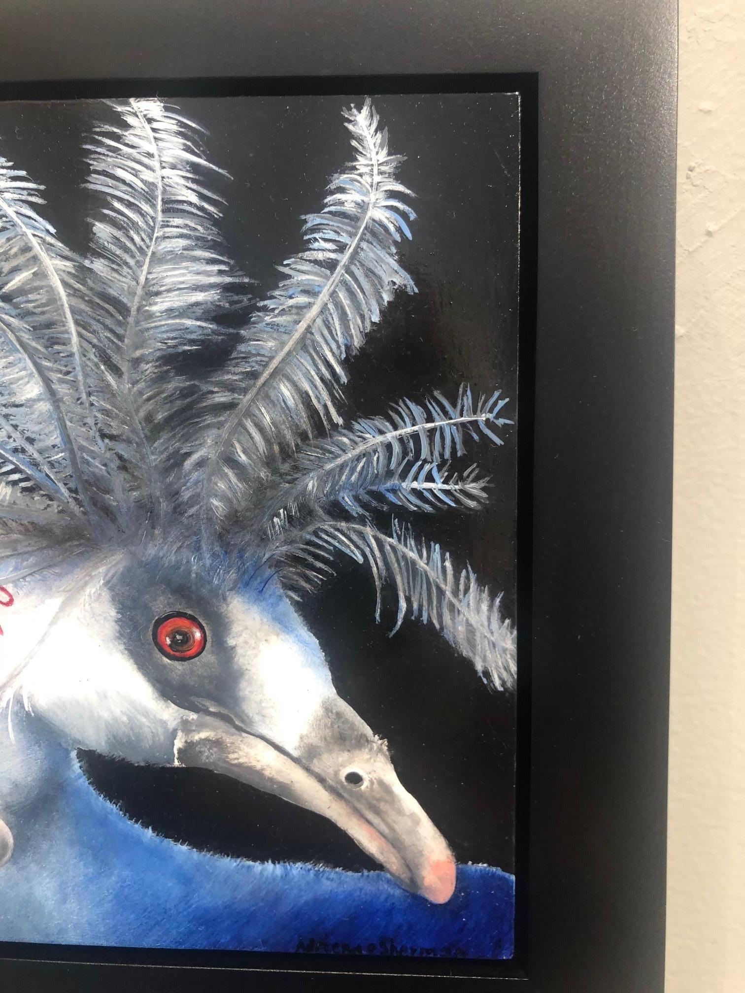 western crowned pigeon for sale