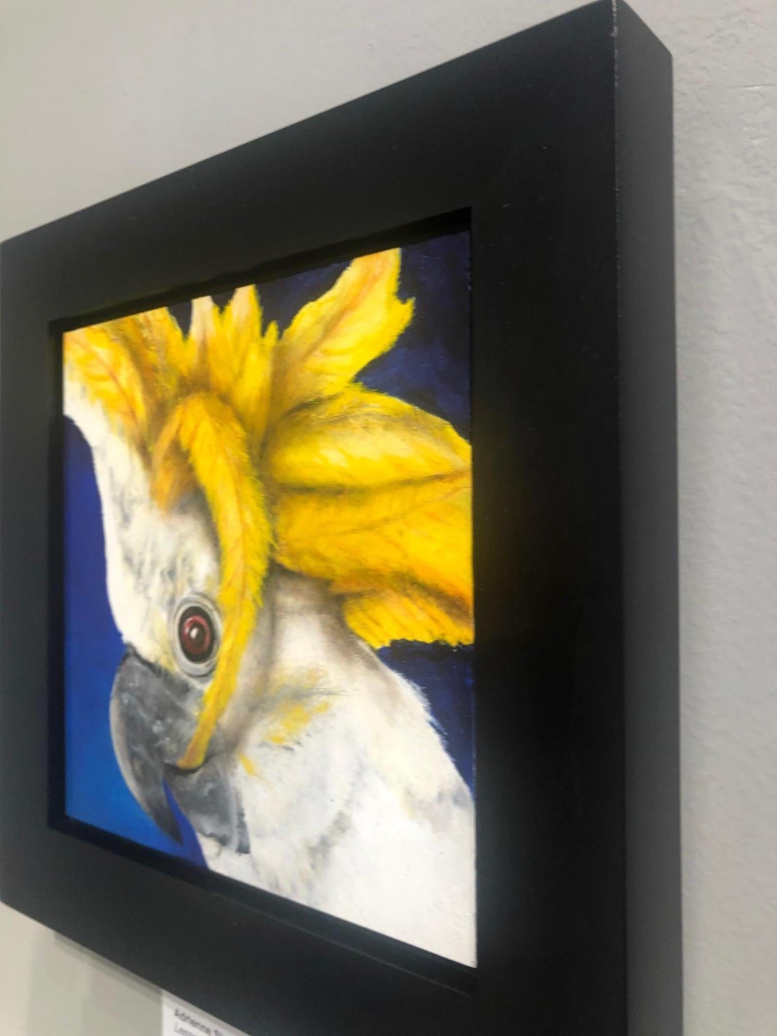 Lesser Sulphur Crested Cocatoo - Painting by Adrienne Sherman
