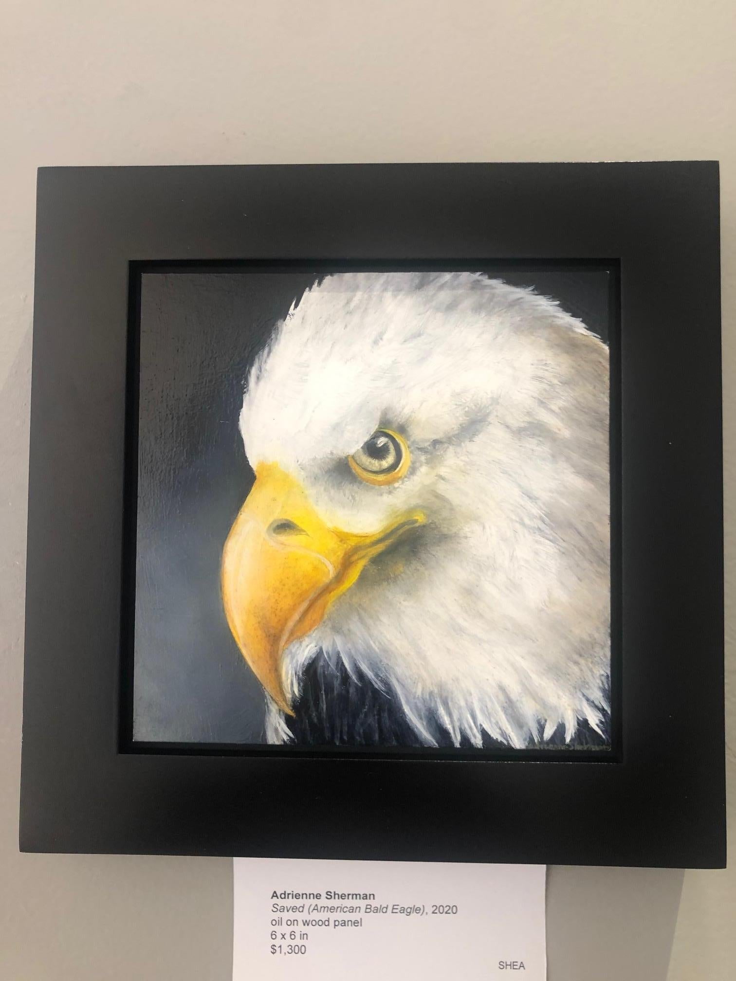 Saved  (American Bald Eagle) - Painting by Adrienne Sherman