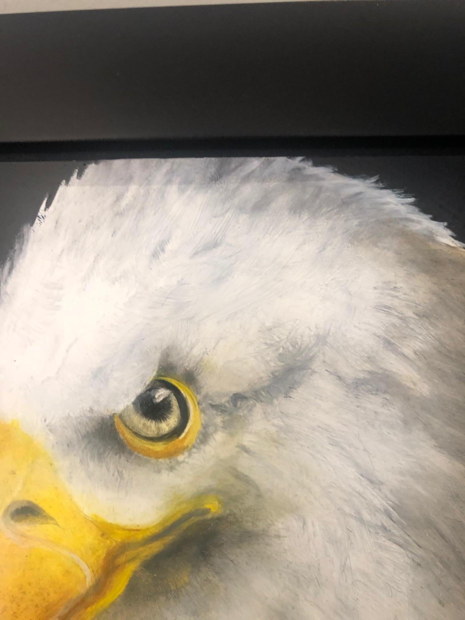 bald eagle paintings