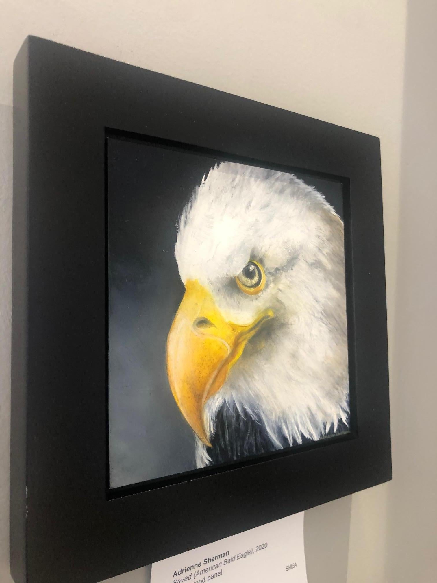 Saved  (American Bald Eagle) - Contemporary Painting by Adrienne Sherman