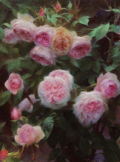 "Oxford Roses", Oil Painting